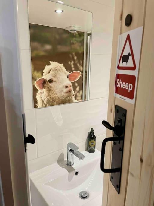 Appartamento The Walkers' Cwtch Ffestiniog Esterno foto