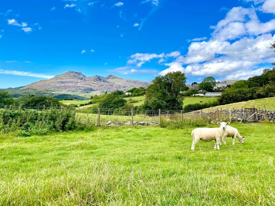 Appartamento The Walkers' Cwtch Ffestiniog Esterno foto